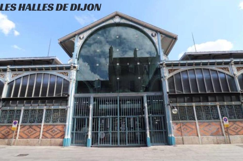 Le Nid - Hebergement Cosy Dijon Bagian luar foto